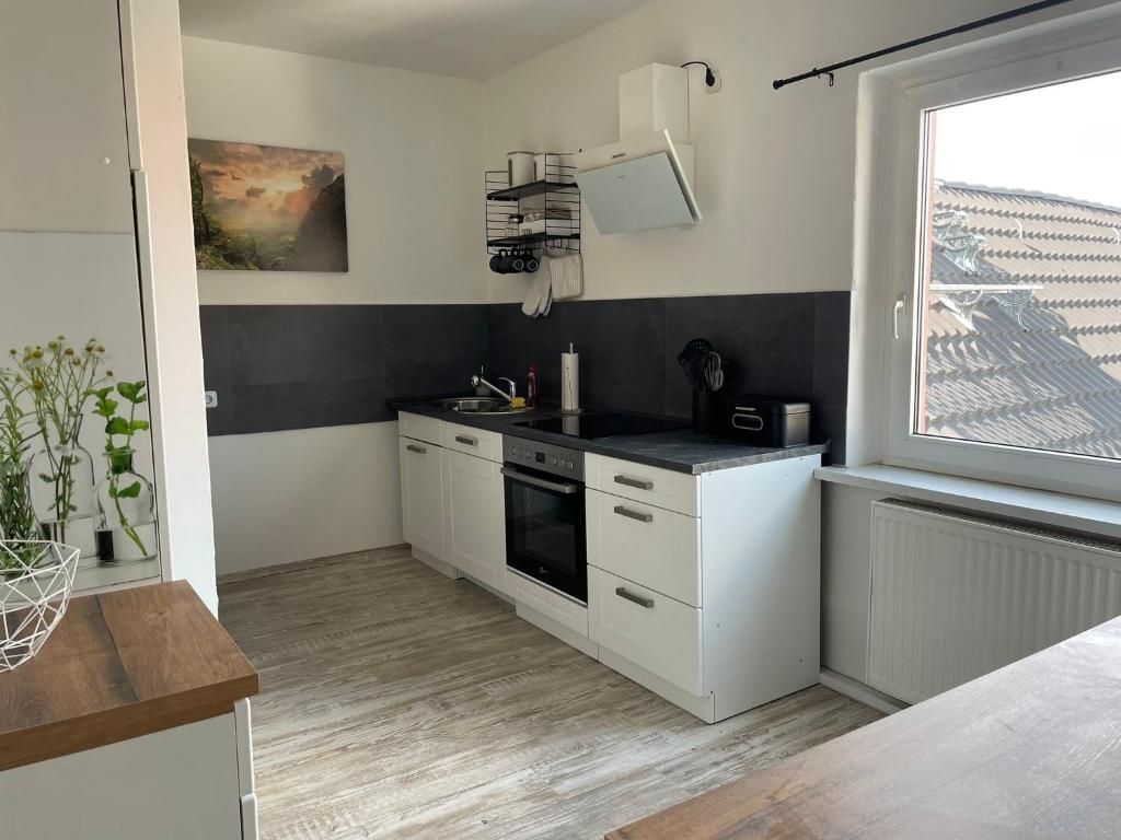 Küche in den Neuseenland Apartments