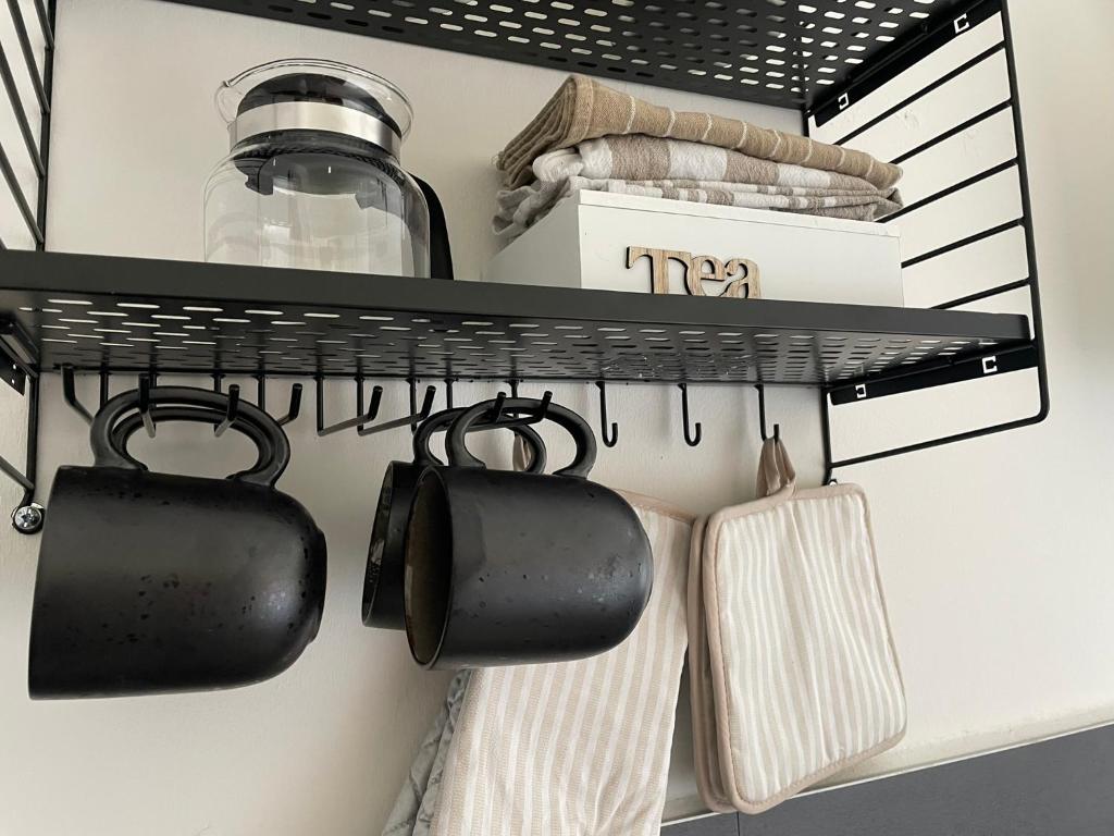 Küchenbereich in den Neuseenland Apartments